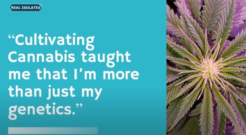 CMT THRIVE Webinar – Cannabis & Neuropathy Webinar